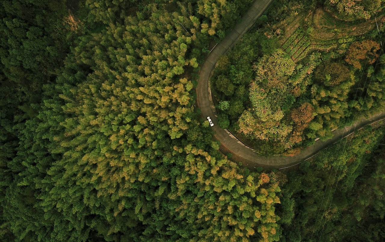 The Impact of AI on Autonomous Drone Swarm Tactics